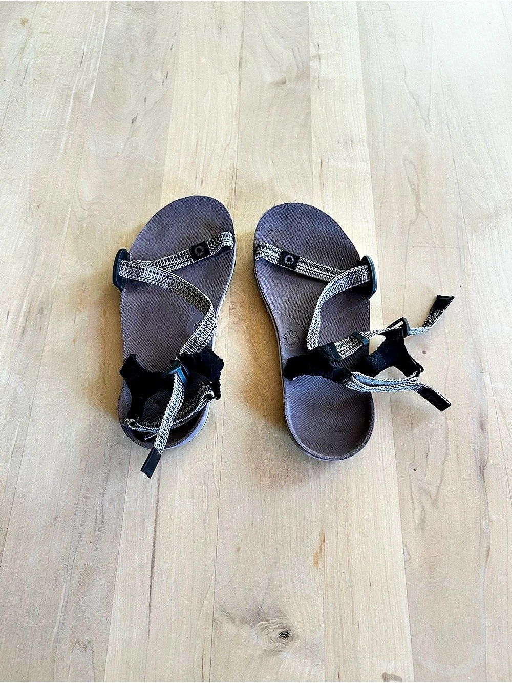 Xero Shoes Z-Trail EV Strappy Sandals in Black & Brown